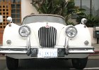 WW2007 076